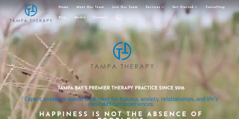 Tampa Therapy Specializes In Anxiety Disorder Therapy In Tampa FL website screenshot