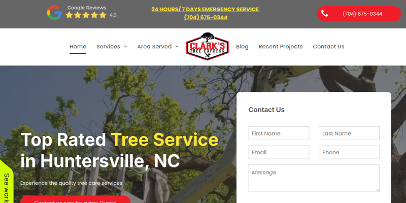 Tree Pruning Service Charlotte NC website screenshot