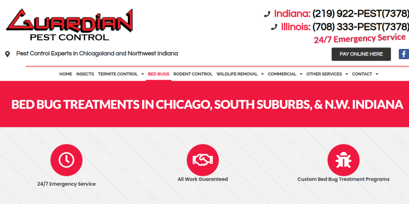 Bed Bug Treatment Chicago Il website screenshot