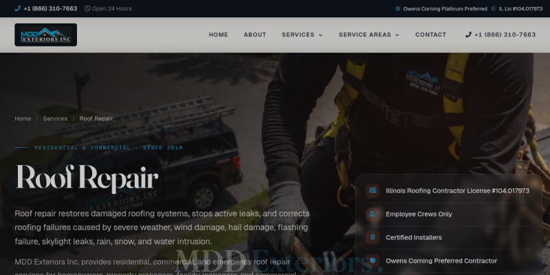 Roof Replacement Glen Ellyn IL website screenshot
