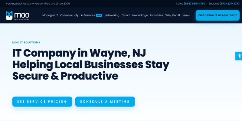 Business IT Solutions Wayne NJ website screenshot