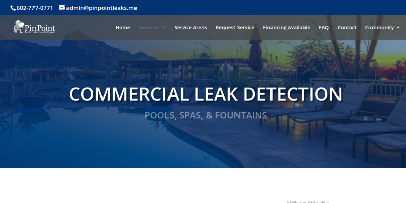 Pinpoint Pool Leak Detection In Phoenix is Your Expert Commercial Pool Leak Service in Phoenix AZ website screenshot