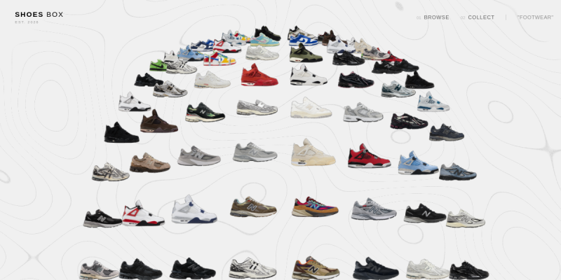 Shoes Box 3D