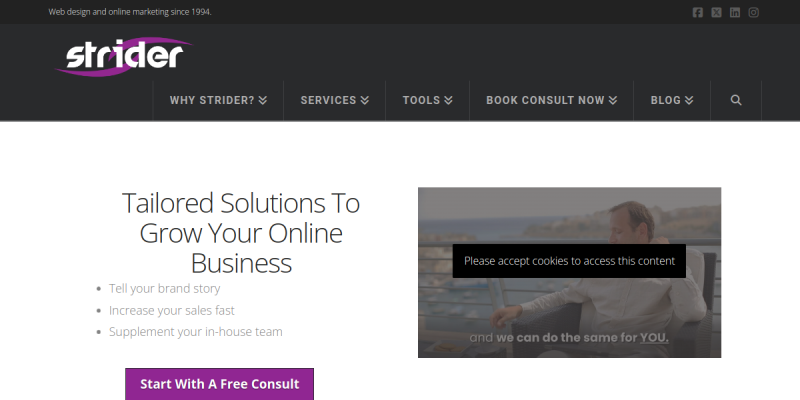 Online Reputation Management Toronto website screenshot