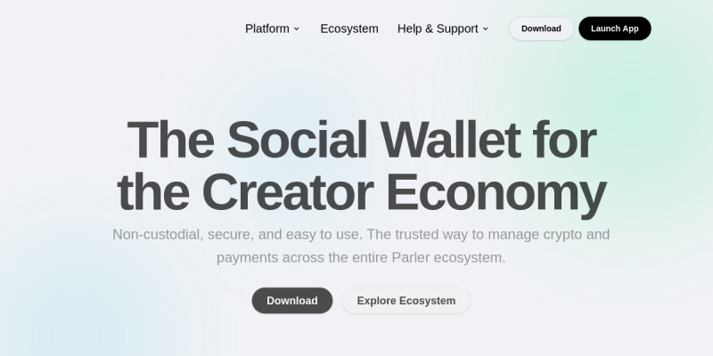 Digital Wallet website screenshot