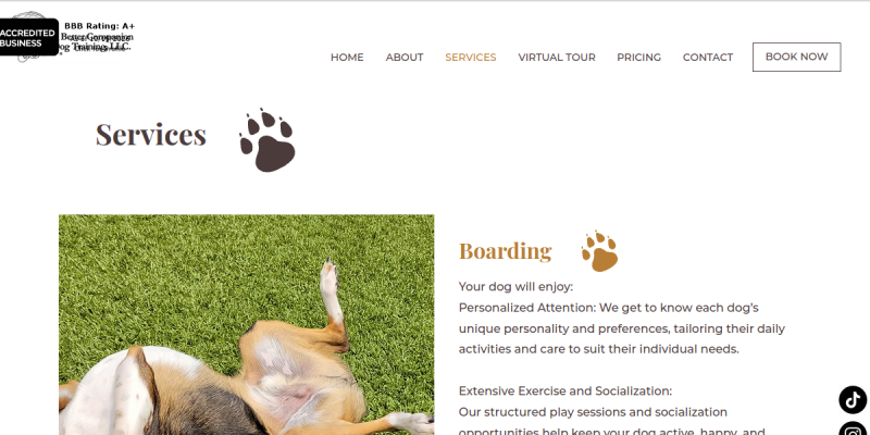 ABC Dog Training Offers Safe and Fun Dog Daycare in Wisconsin Rapids WI website screenshot