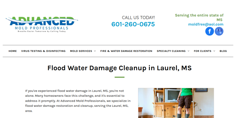 Flood Water Damage Cleanup Tupelo Ms website screenshot