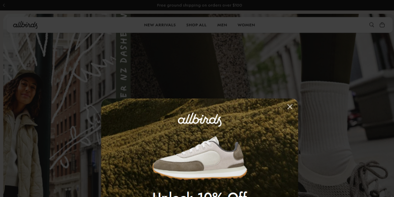 Screenshot of the Allbirds landing page