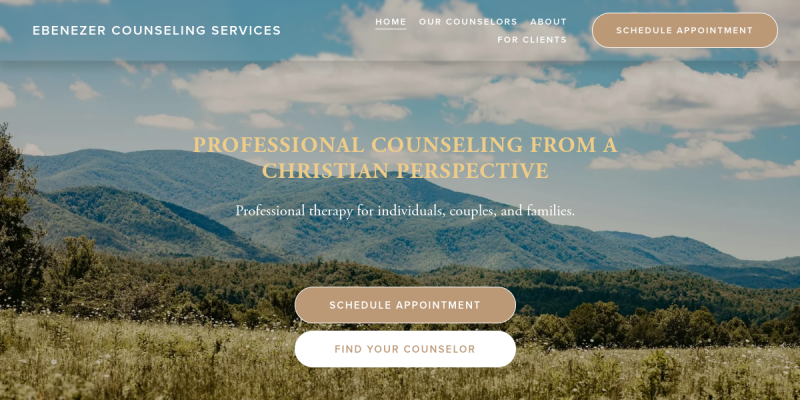 Counseling Therapy Knoxville TN website screenshot