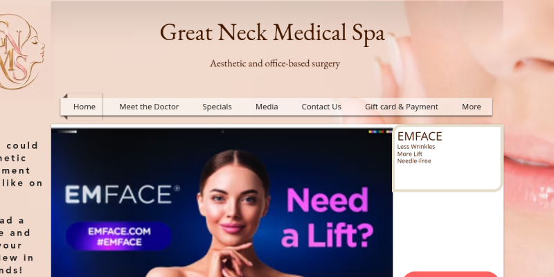 Comprehensive Medical Spa in North Hempstead NY for Your Beauty Needs website screenshot