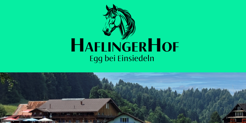 Haflingerstübli (Haflingerhof) in Egg SZ