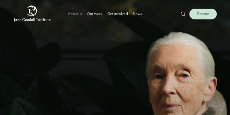 Jane Goodall Institute — Global