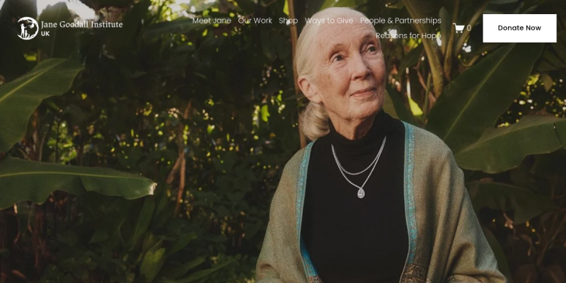 Jane Goodall Institute UK