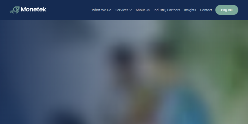 Tax Consulting Bloomfield Hills website screenshot
