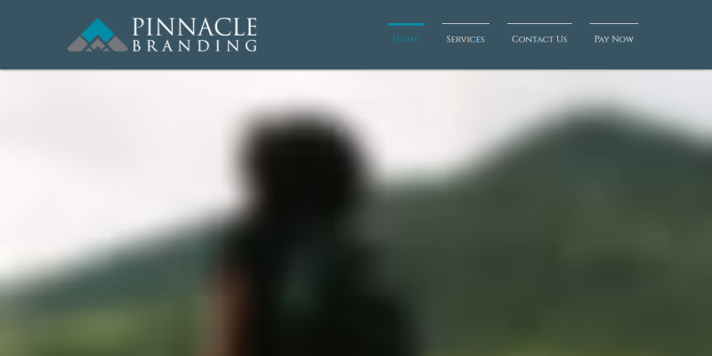 www.pinnaclebranding.com