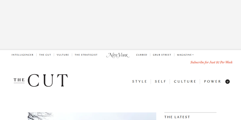 www.thecut.com