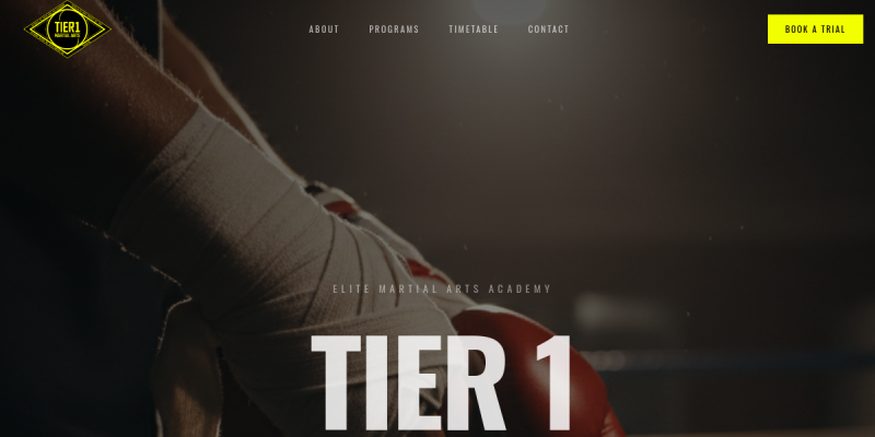 Tier 1 Martial Arts website