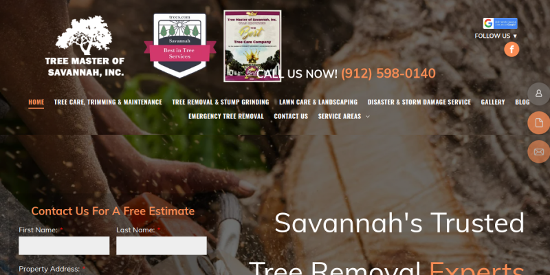 Local Tree Removal Wilmington Island GA website screenshot