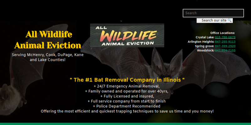 Wildlife Removal Mchenry Il website screenshot