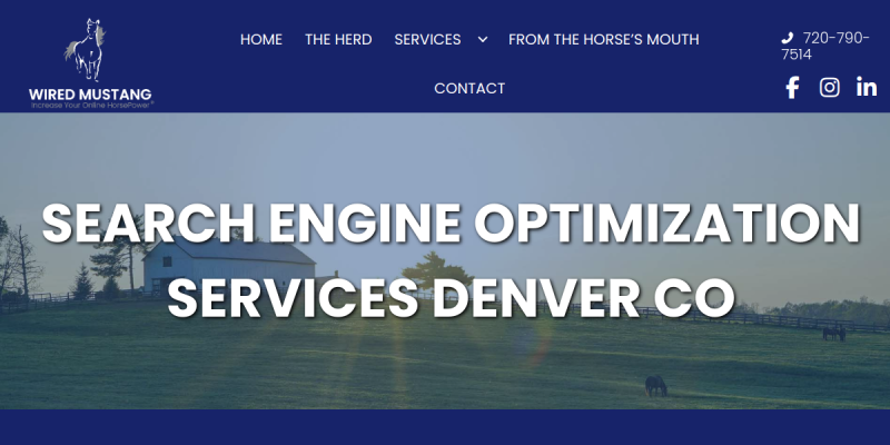 Digital Marketing Strategies Driving Growth with Wired Mustang Inc in Denver CO website screenshot