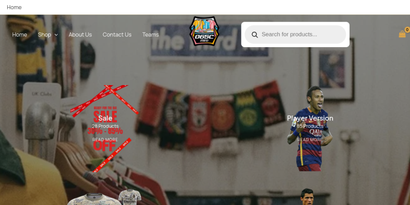 065c website screenshot