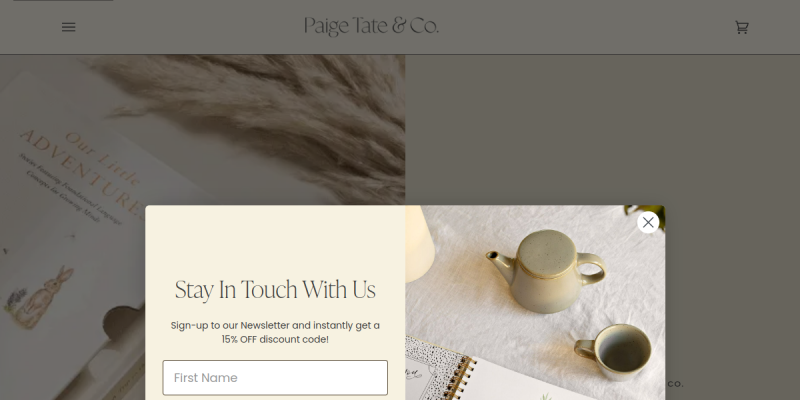Paige Tate & Co. website screenshot