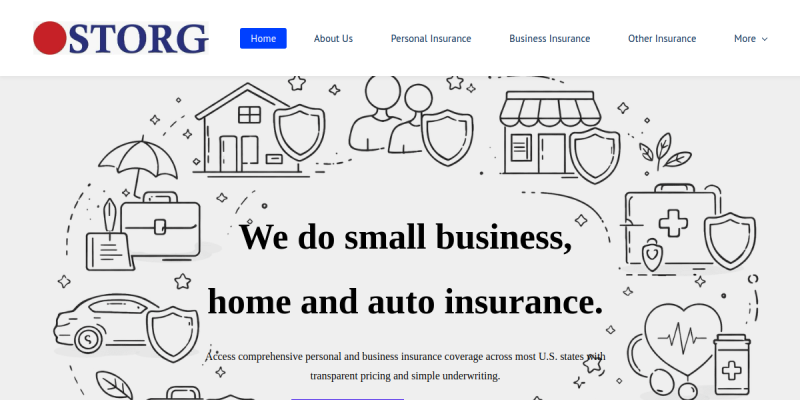 Storg Financials Thumbnail