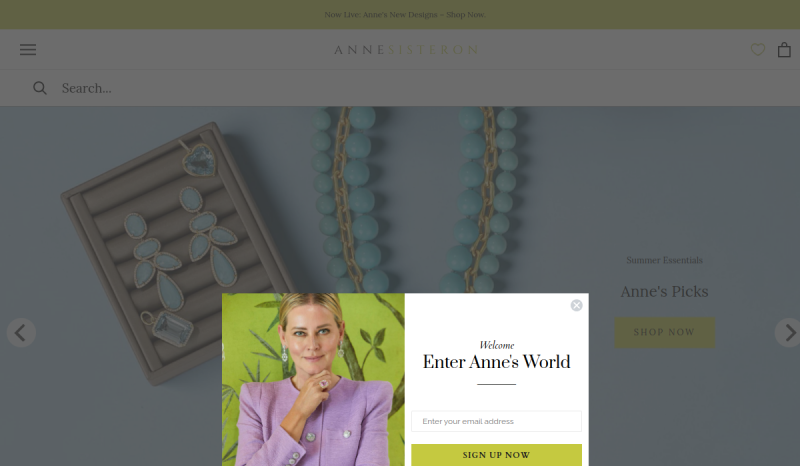 Preview of the Anne Sisteron website