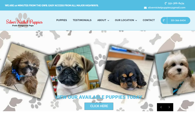 Preview of the Silver Nickel Puppies website