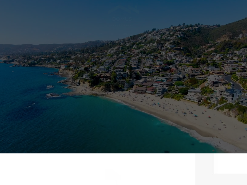 Domus Realty Group