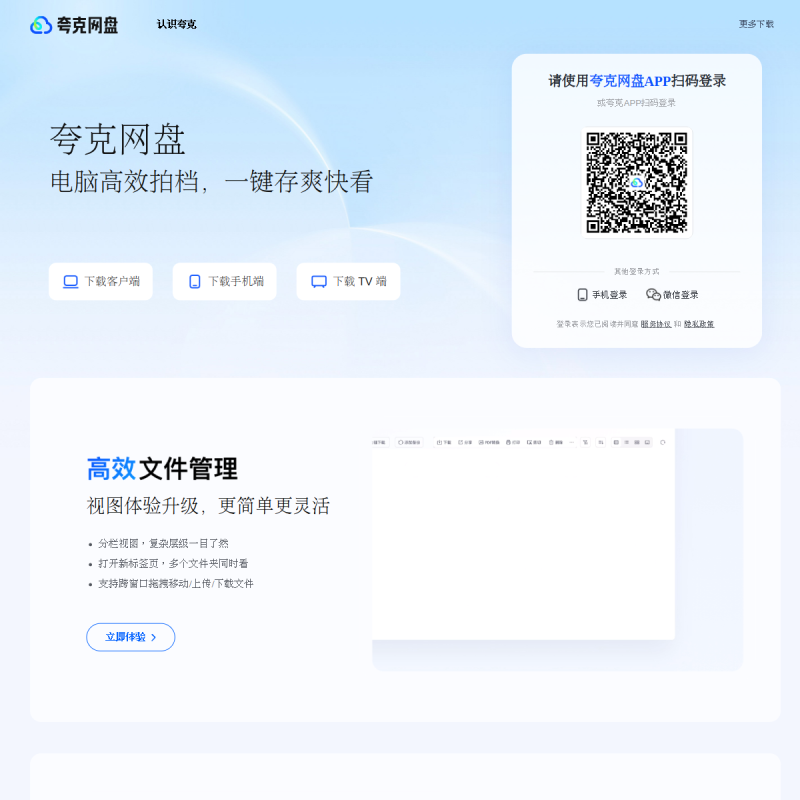 网站预览