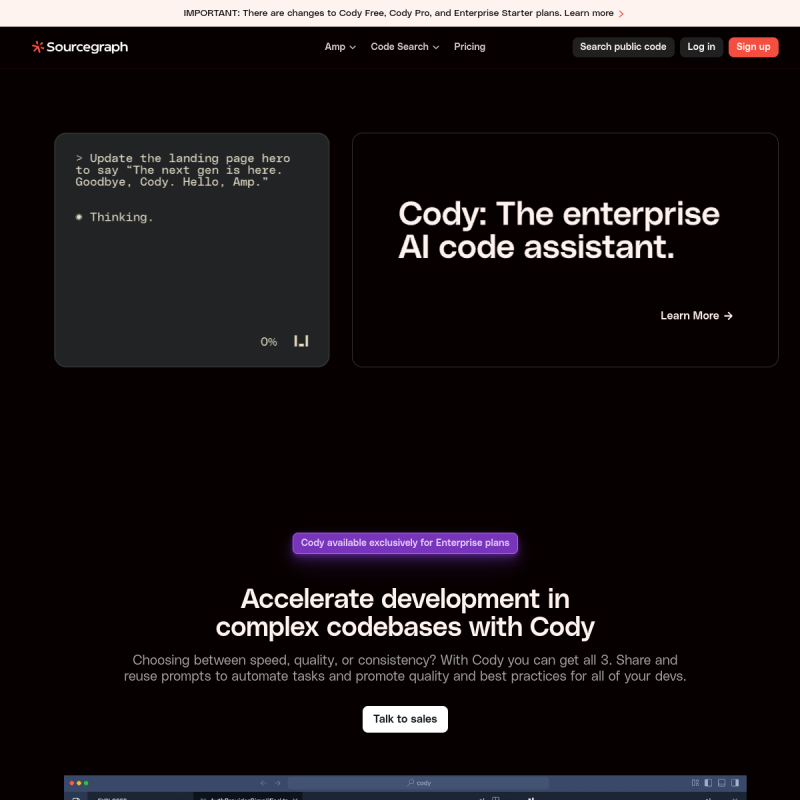 Cody Playground Website Preview