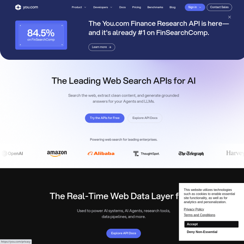 Aperçu You.com Assistant