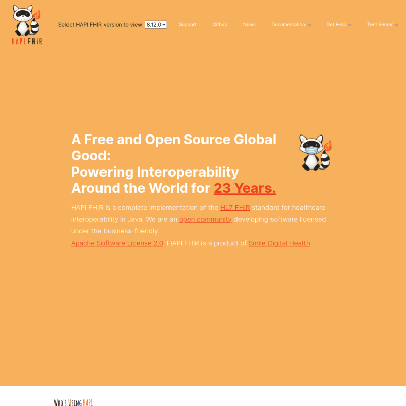 HAPI FHIR site preview