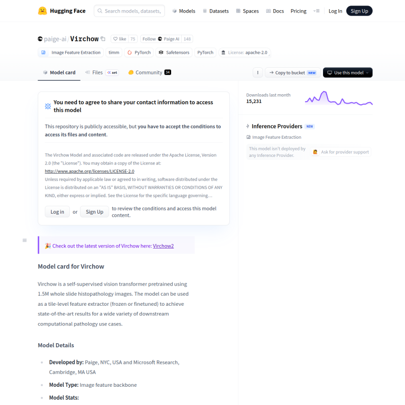 Virchow site preview
