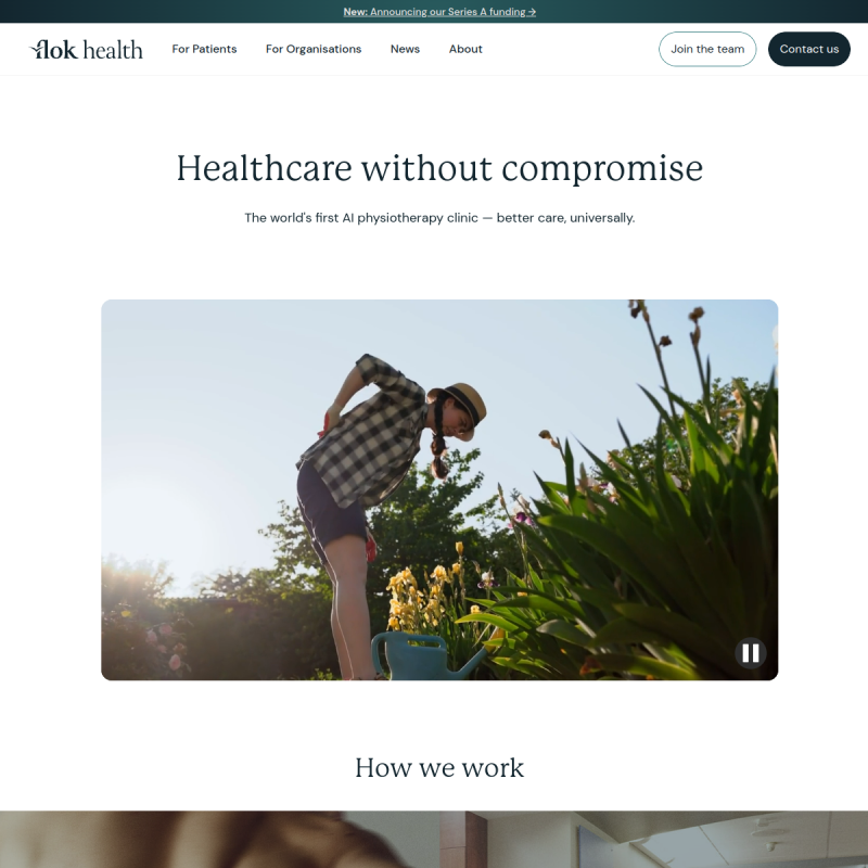Flok Health site preview