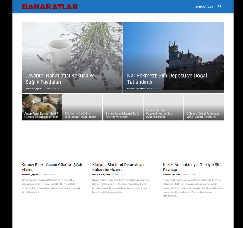 baharatci.com screenshot