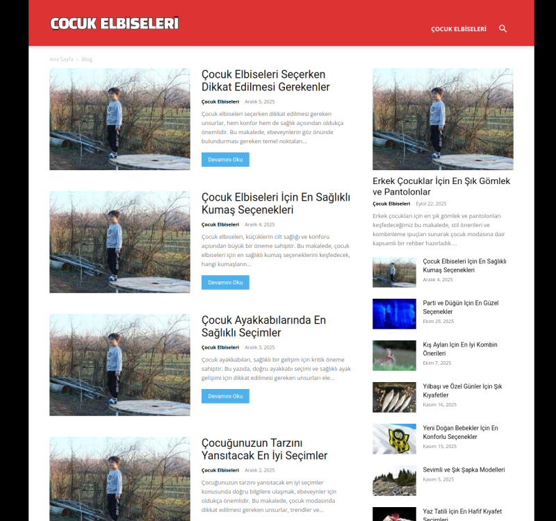 cocukelbiseleri.com screenshot