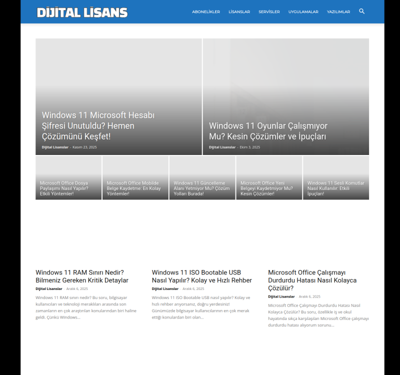 dijitallisanslar.com screenshot