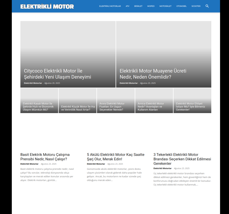 elektriklimotor.org screenshot
