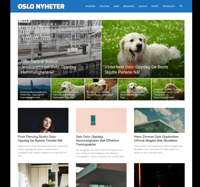 oslonyheter.com screenshot