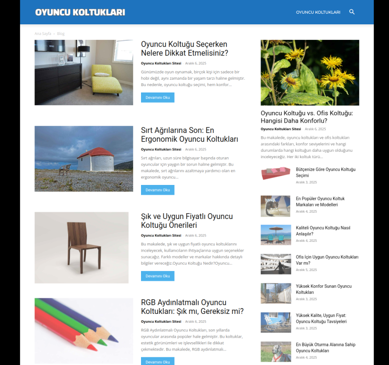 oyuncukoltuklari.net screenshot