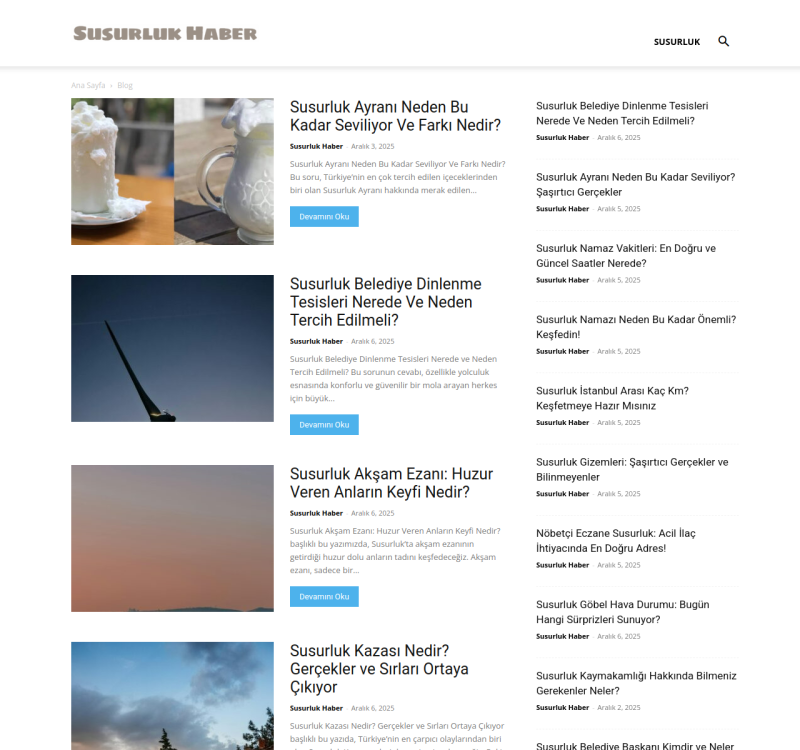 susurlukhaber.com screenshot