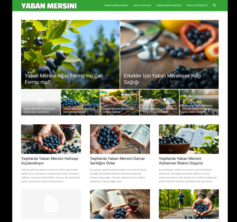 yabanmersini.net screenshot