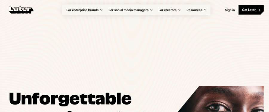 Later website screenshot