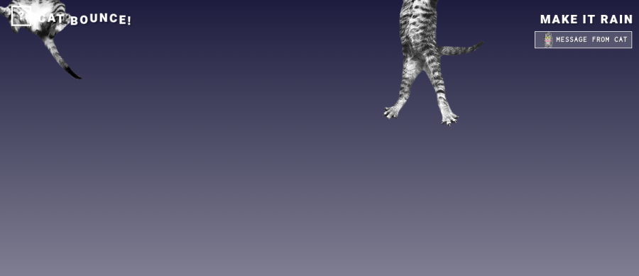 Cat bounce preview