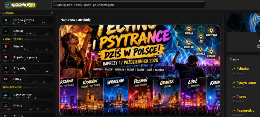 Podgląd witryny seenvibe.com