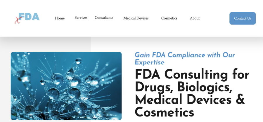 FDA Consultant Services website