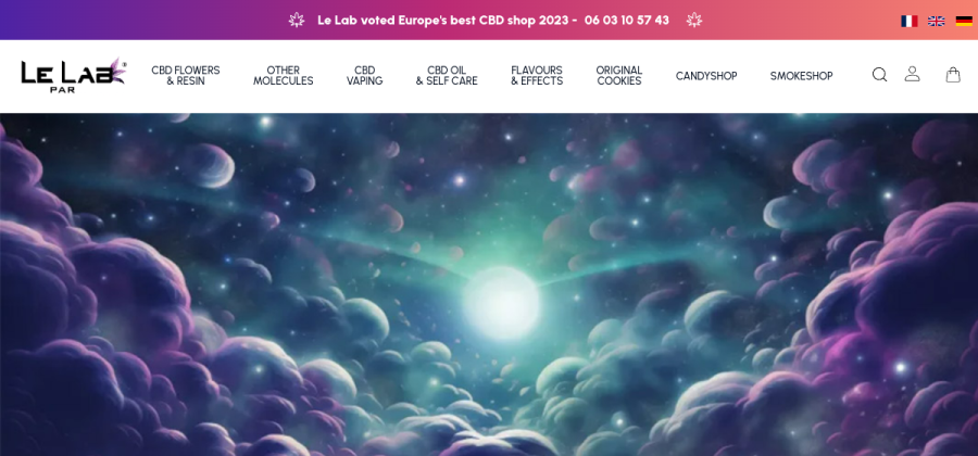 Aperçu de la page d'accueil de Le Lab Shop