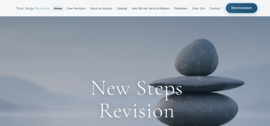 New Steps Revision website preview